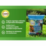 Comprar Abono azul - solabiol - sobleu4 - 4 kg