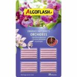 Comprar Algoflash - abono orquídea sticks 20 sticks