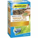 Comprar Algoflash semillas de hierba tierra seca y soleada - 1 kg