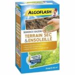 Comprar Algoflash semillas de hierba tierra seca y soleada - 1 kg