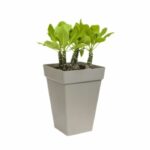 Comprar Bac cuadrados de 30 cm de alto plantas