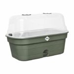 Comprar Bandeja de cultivo elho green basics allin1 l - verde - l 39 x b 23 x h 15 cm - cultivo y cosecha - 100% reciclado