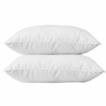 Comprar Blanreve juego de 2 almohadas de algodón - 60 x 60 cm - blanco