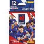 Comprar Blíster 12+1 bolsitas panini - rugby edf