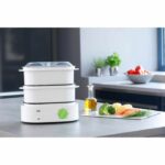 Comprar Braun fs3000wh cocina a vapor