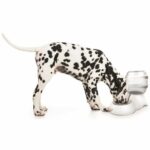 Comprar Dispensador de agua de cilindro m-pets - 3500 ml - blanco - para perros