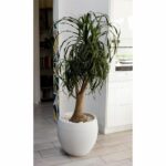 Comprar Eda graphit maceta redonda Ø50cm - capacidad 46l - blanco encalado