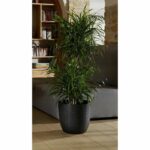 Comprar Eda opal chape Ø 29.5 cm - volumen 14.8 l - negro