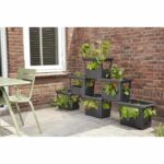 Comprar Elho - maceta - green basics stack & grow large - living black - exterior - l 35.1 x w 50.9 x h 35.7 cm