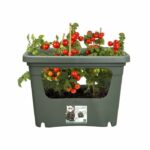 Comprar Elho - maceta - green basics stack & grow large - verde hoja - exterior - l 35.1 x w 50.9 x h 35.7 cm