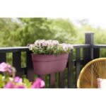 Comprar Elho - maceta - vibia campana easy hanger large - dusty pink - outdoor balcón - l 24.1 x w 46 x h 26.5 cm