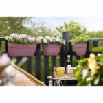 Comprar Elho - maceta - vibia campana easy hanger small - dusty rose - balcón exterior - l 24.1 x w 20.5 x h 26.5 cm