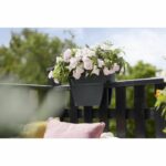 Comprar Elho - maceta - vibia campana flower bridge 40 - antracita - balcón exterior - l 26 x w 39 x h 22 cm