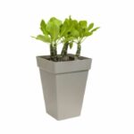 Comprar Elho planta contenedor cuadrado alto - 37 cm - blanco