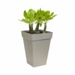 Comprar Elho planta contenedor cuadrado alto - 37 cm - gris antracita