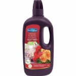 Comprar Fertilizante de geranio fertilizante dipladenias - 1 l