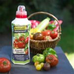 Comprar Fertilizante líquido tomates 1 l