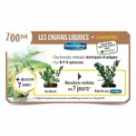 Comprar Fertilizante para plantas con flores de geranio fertiligene - 3 l