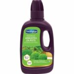 Comprar Fertilizantes arbustos fertilizantes bombo bambúes - 400 ml