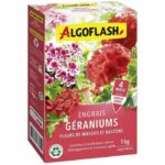 Comprar Fertilizantes de geranio