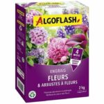 Comprar Flores y fertilizantes de flores - algoflash naturasol - 2 kg