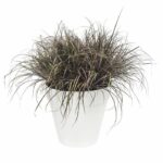 Comprar Flower pot elho redonda loft loft blanco Ø 50 x h.44 cm 48 l