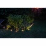 Comprar Galix garland 10 led de energía solar para plantar - 5m