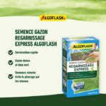 Comprar Grass seeds express relining 5 días 3 kg