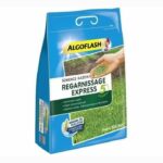 Comprar Grass seeds express relining 5 días 3 kg