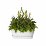 Comprar Greenville terrase 80 ruedas blanco