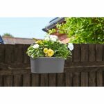 Comprar Jardinera colgante - pizarra - 30 cm - smart garden