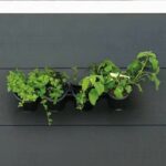 Comprar Jardinera de pared - kit de pared compuesto por soporte de pared y 4 maceteros (1 l) - negro - dim a 15 x l 60 cm - nature