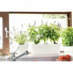 Comprar Jardinera - deroma - muret save r - 75l - 79cm - blanco