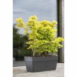 Comprar Jardinera - deroma - muret save r - 75l - 79cm - gris oscuro