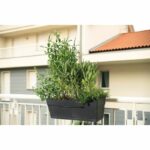 Comprar Jardinera - deroma - save r jardiniere kit - 10l - 49cm - gris oscuro