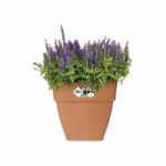 Comprar Jardinera elho vibia campana square 37 - marrón - Ø 36 x h 36 cm - exterior - 100% reciclado