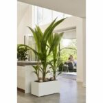 Comprar Jardinera elho vivo next long 80 - blanco - l 78 x b 39 x h 38 cm - interior/exterior - 100% reciclado