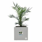 Comprar Jardinera elho vivo next square 30 - gris - Ø 30 x h 29 cm - interior/exterior - 100% reciclado