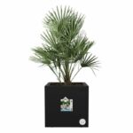 Comprar Jardinera elho vivo next square 30 - negro - Ø 30 x h 29 cm - interior/exterior - 100% reciclado