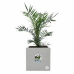 Comprar Jardinera elho vivo next square 40 - gris - Ø 39 x h 38 cm - interior/exterior - 100% reciclado