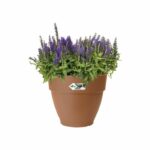 Comprar Jardinera redonda elho vibia campana 55 - marrón - Ø 55 x h 47 cm - exterior - 100% reciclado