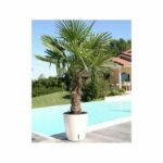 Comprar Jardinera redonda riviera eva new - plástico - diámetro 36 cm - azul