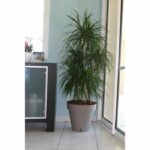 Comprar Jardinera redonda riviera loft - plástico - diámetro 30 cm - taupe