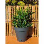 Comprar Jardinera redonda riviera loft - plástico - diámetro 40 cm - gris