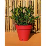 Comprar Jardinera redonda riviera loft - plástico - diámetro 40 cm - rojo