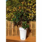 Comprar Jardinera riviera loft high 53 - blanco