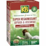 Comprar Kb kregfac100 semillas de césped - super replenishing 2 kg - para zonas de sombra - germinación rápida 7 días - para 100m²