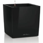 Comprar Maceta lechuza cube premium 40 - juego completo