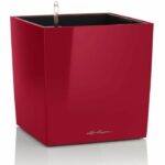 Comprar Maceta lechuza cube premium 40 - juego completo