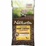 Comprar Mantillo pouzzolane naturen - 20l